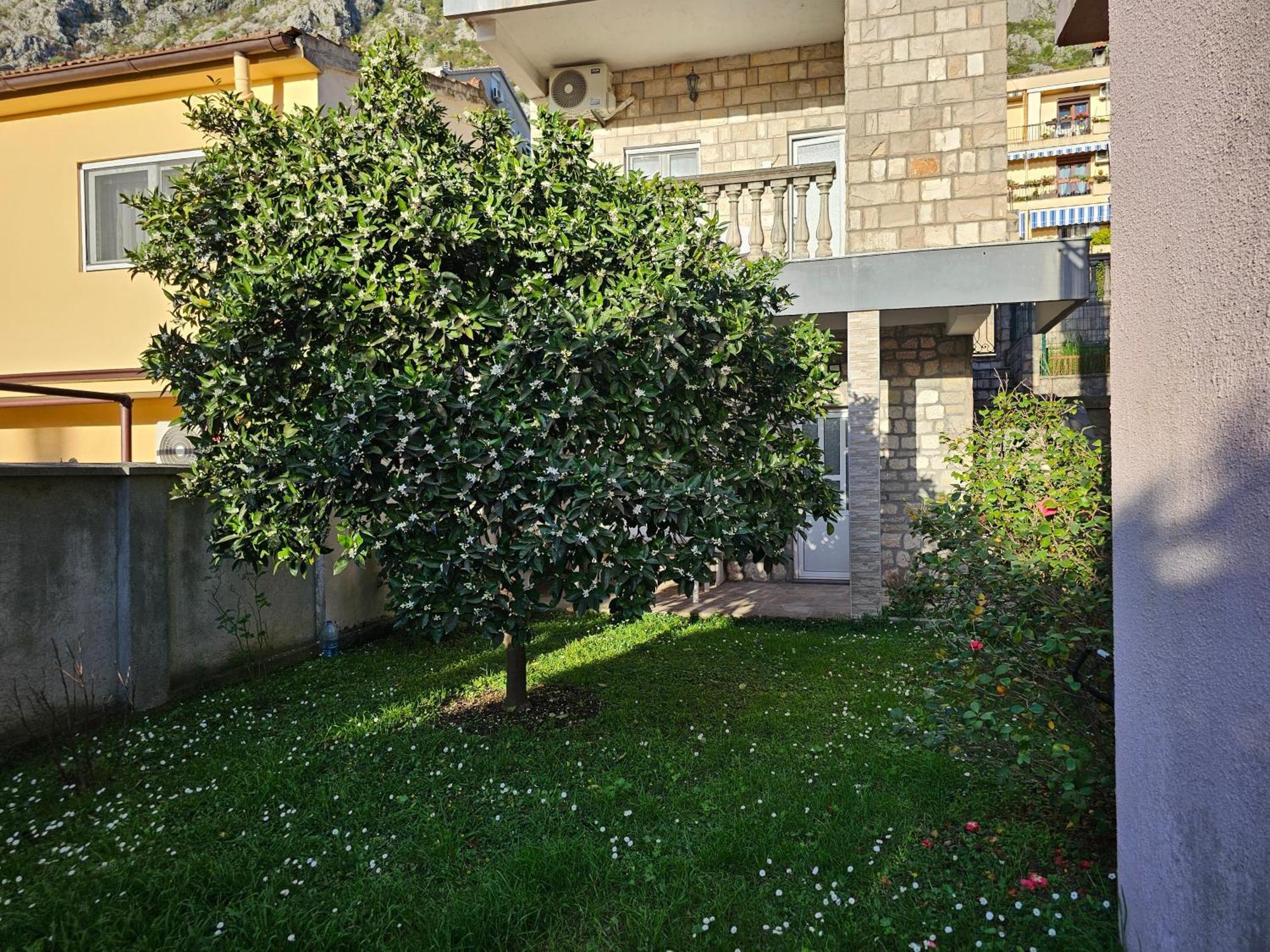 Apartamento Modern Seaside Escape - Stunning Sea View - Private & Stylish Kotor Exterior foto